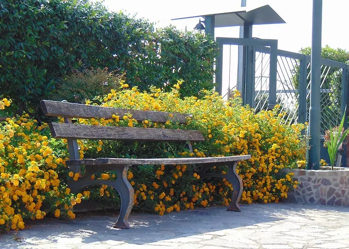 Alojamento de Acomodação e Pequeno-almoço Celeste 3*