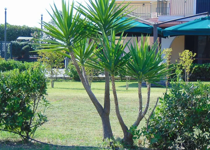 Alojamento de Acomodação e Pequeno-almoço Celeste