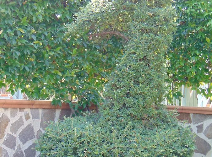 Celeste Alojamento de Acomodação e Pequeno-almoço