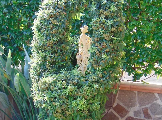 Alojamento de Acomodação e Pequeno-almoço Celeste